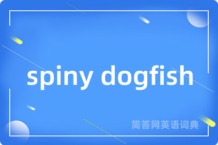 spiny dogfish