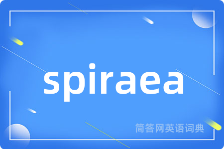 spiraea