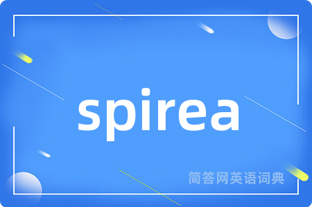 spirea