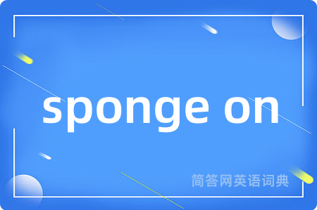sponge on