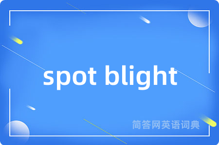 spot blight是什么意思,spot blight的中文翻译 spot blight