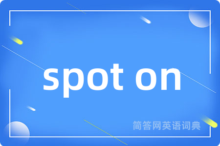 spot on是什么意思,spot on的中文翻译 spot on