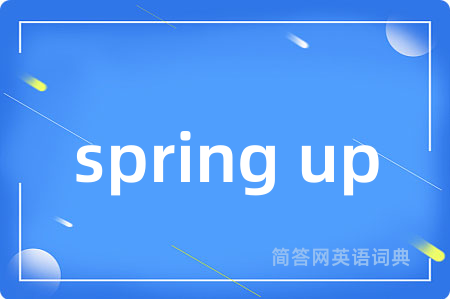 spring up