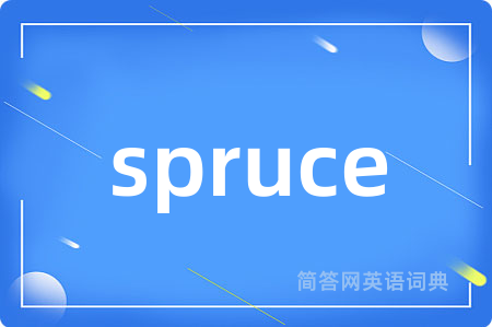 spruce是什么意思,spruce的中文翻译 spruce