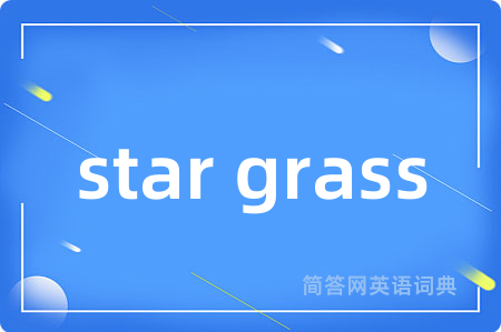 star grass