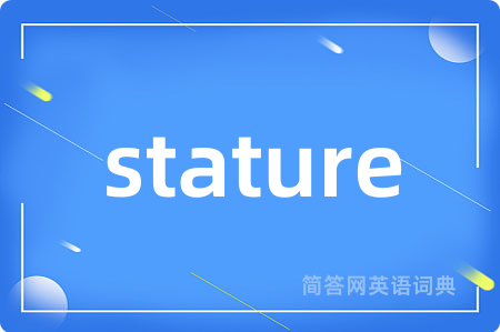 stature是什么意思,stature的中文翻译 stature