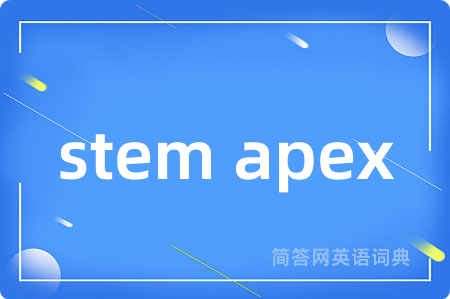 stem apex
