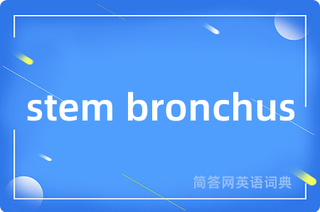 stem bronchus