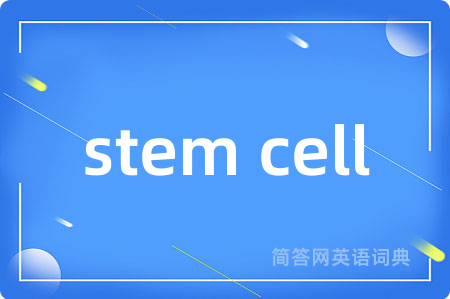 stem cell是什么意思,stem cell的中文翻译 stem cell