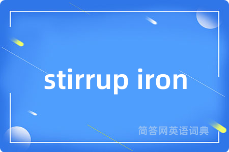 stirrup iron