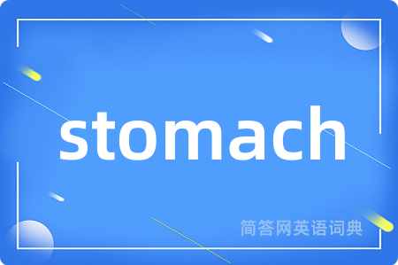 stomach是什么意思,stomach的中文翻译 stomach