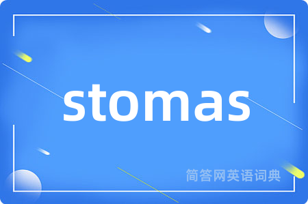 stomas是什么意思,stomas的中文翻译 stomas