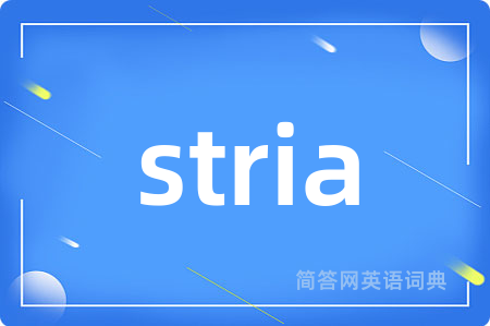 stria是什么意思,stria的中文翻译 stria