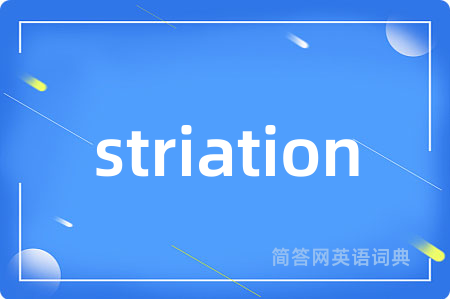 striation是什么意思,striation的中文翻译 striation