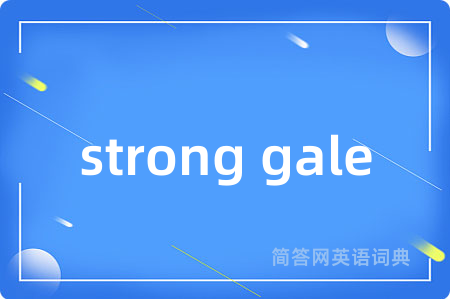 strong gale是什么意思,strong gale的中文翻译 strong gale