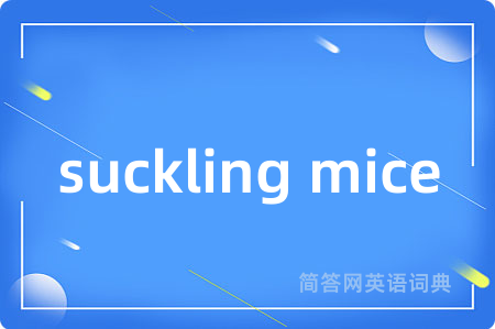 suckling mice