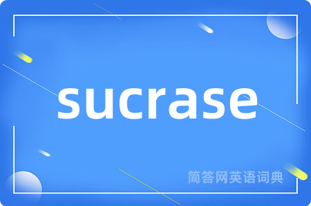sucrase是什么意思,sucrase的中文翻译 sucrase