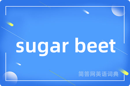 sugar beet是什么意思,sugar beet的中文翻译 sugar beet
