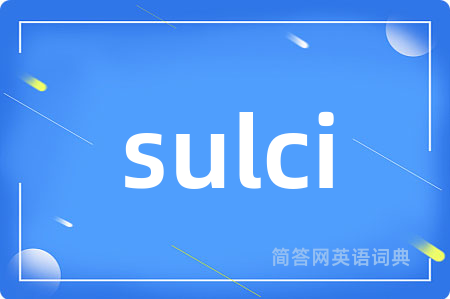 sulci
