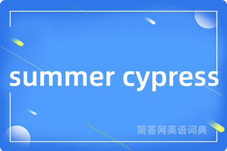 summer cypress是什么意思,summer cypress的中文翻译 summer cypress
