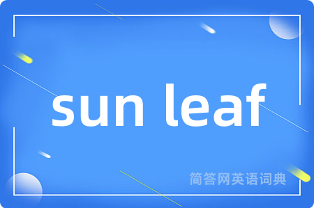 sun leaf是什么意思,sun leaf的中文翻译 sun leaf