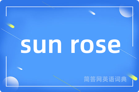 sun rose是什么意思,sun rose的中文翻译 sun rose