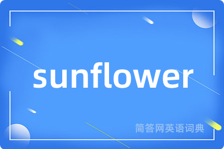 sunflower