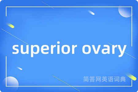 superior ovary是什么意思,superior ovary的中文翻译 superior ovary