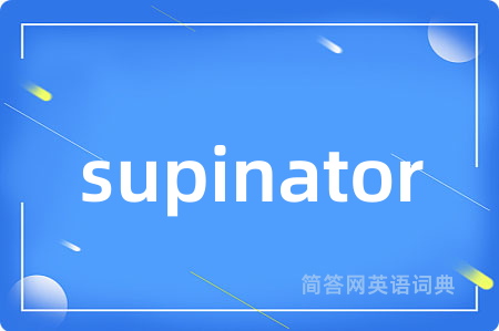 supinator