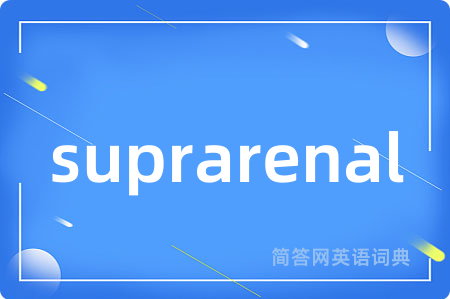 suprarenal