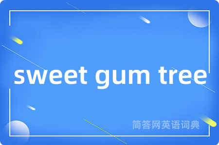 sweet gum tree是什么意思,sweet gum tree的中文翻译 sweet gum tree