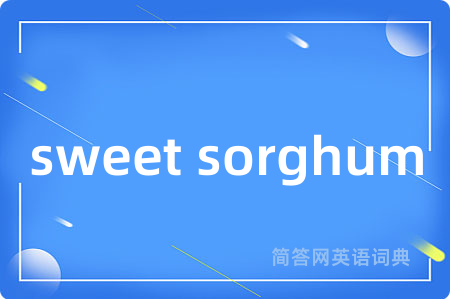 sweet sorghum