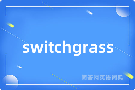 switchgrass