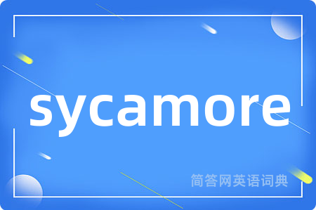 sycamore