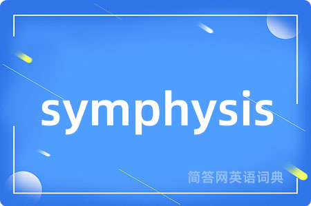 symphysis