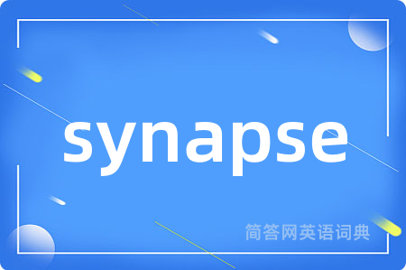 synapse