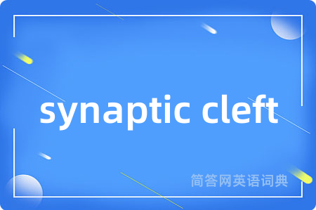 synaptic cleft
