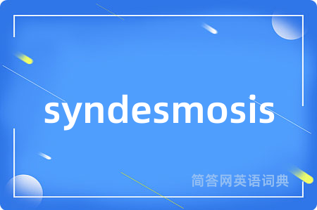 syndesmosis是什么意思,syndesmosis的中文翻译 syndesmosis
