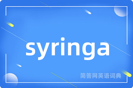 syringa是什么意思,syringa的中文翻译 syringa