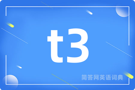 t3