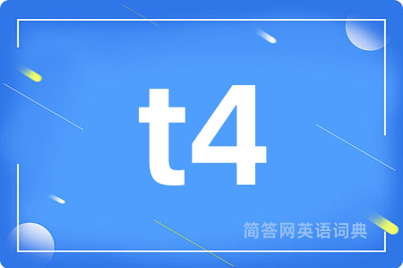 t4