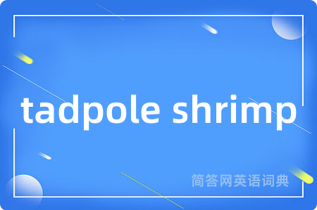 tadpole shrimp
