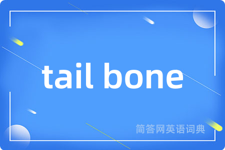 tail bone