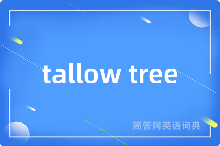 tallow tree