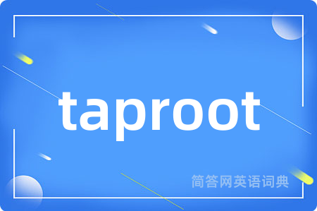 taproot是什么意思,taproot的中文翻译 taproot