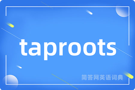 taproots是什么意思,taproots的中文翻译 taproots