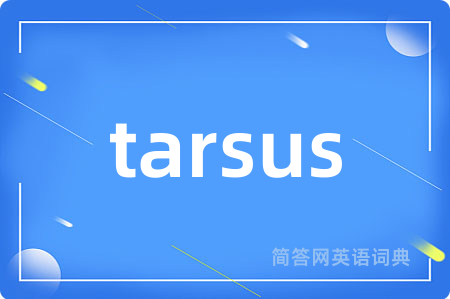 tarsus是什么意思,tarsus的中文翻译 tarsus