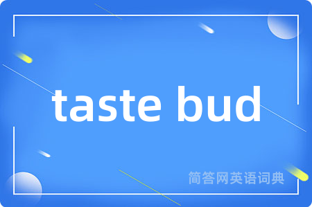 taste bud是什么意思,taste bud的中文翻译 taste bud