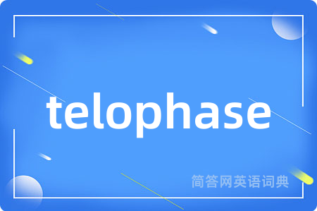 telophase