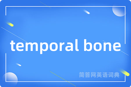temporal bone